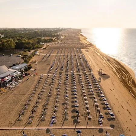 Apartment Flat With A Shared Garden