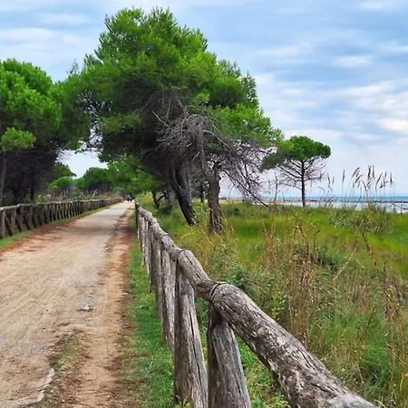 Flat With A Shared Garden * 比比翁